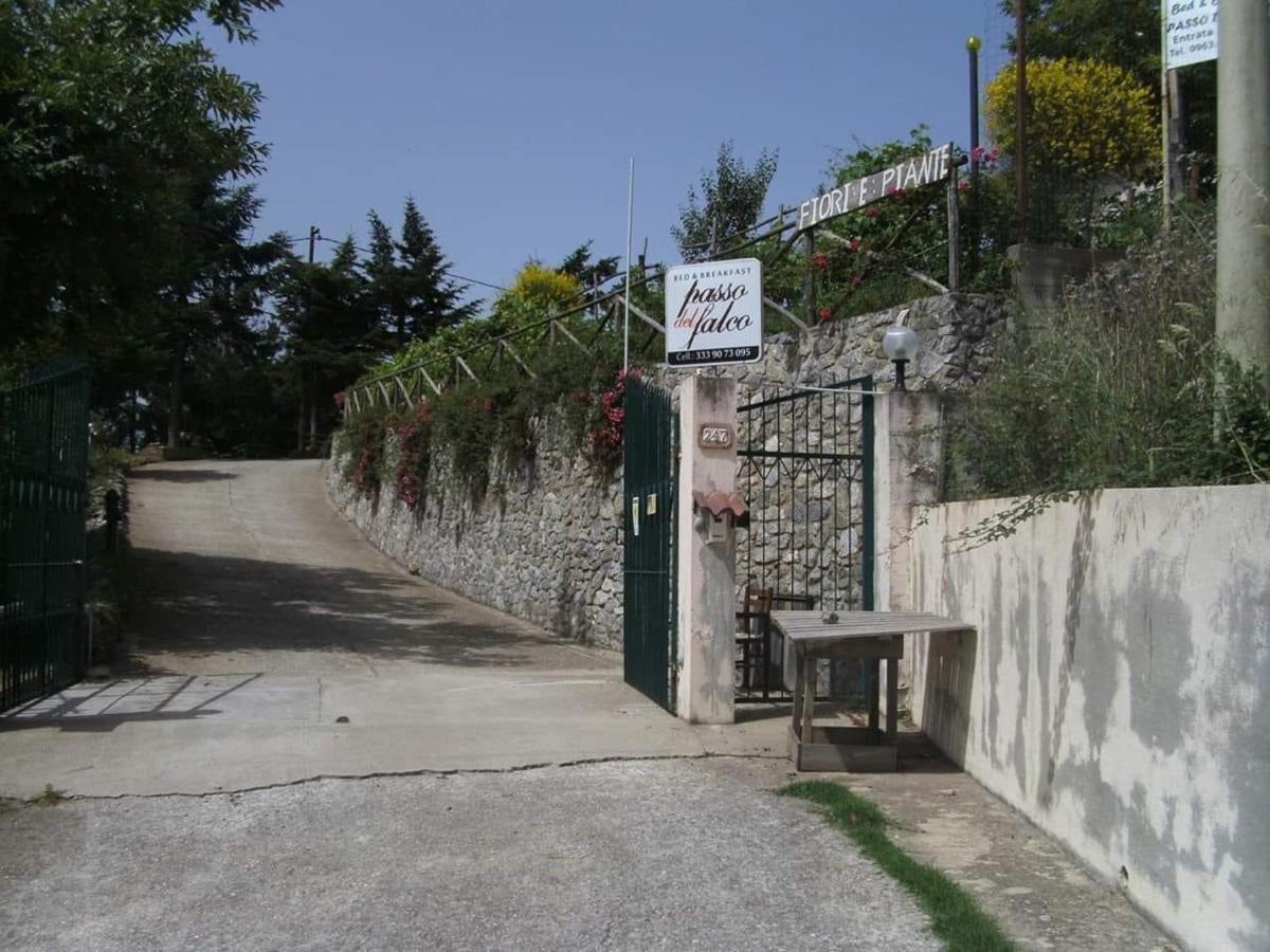 B&B Passo Del Falco Sorianello Buitenkant foto