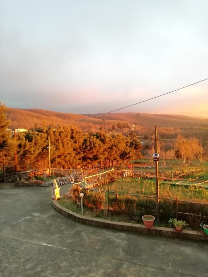 B&B Passo Del Falco Sorianello Buitenkant foto